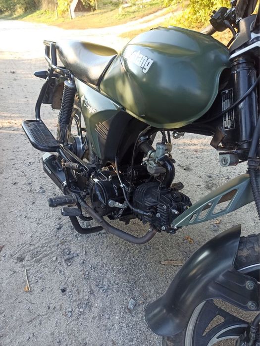 Mustang dingo 125