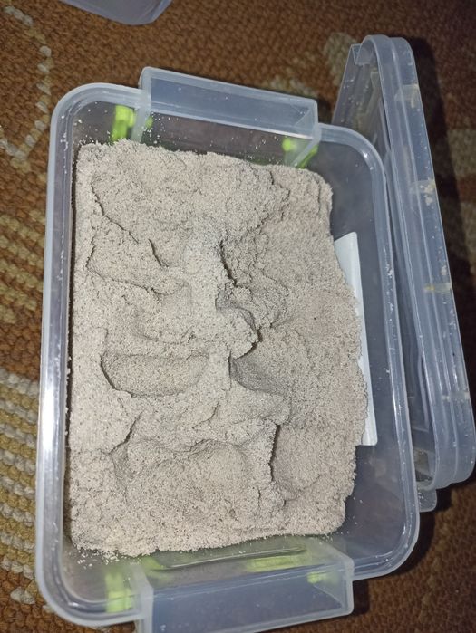 Живий кінетичний пісок