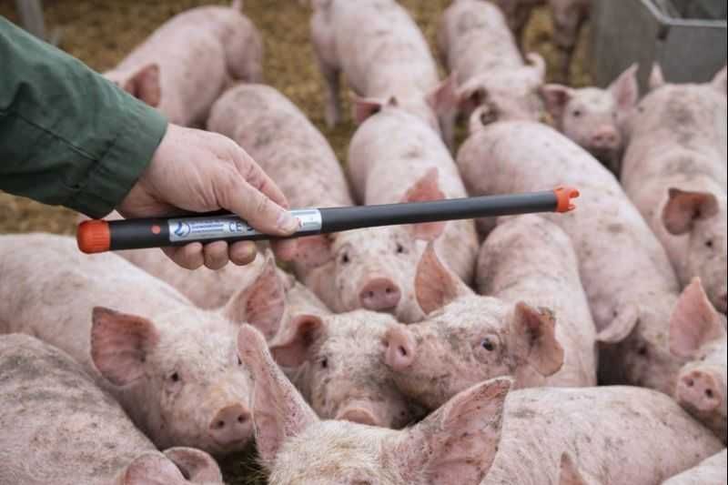 Poganiacz rurkowy, poskramiacz ROB SET 70cm robset