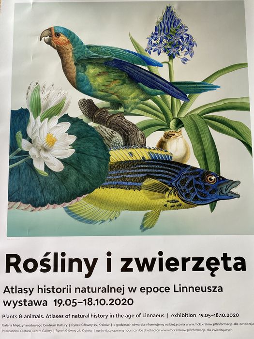 Plakat rośliny i zwierzęta w epoce Linneusza