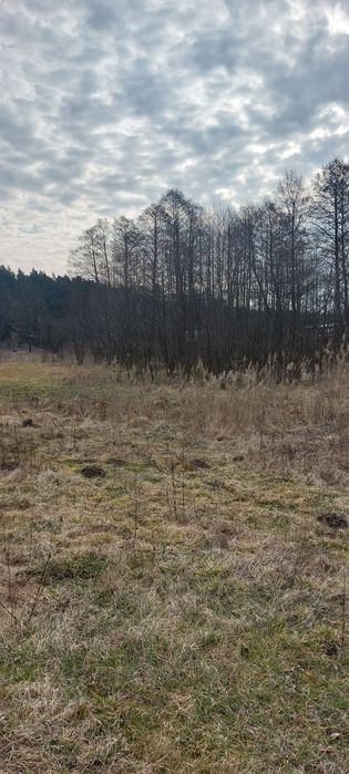 Sprzedam działkę nad rzeką Drawą0,50 ha