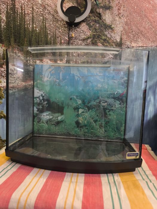 Акваріум скляний