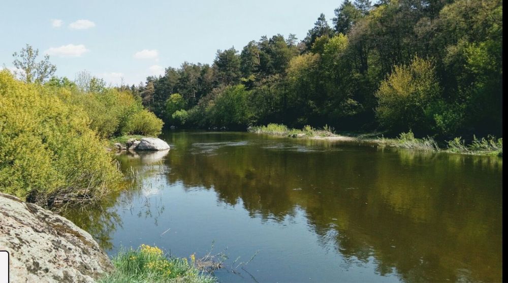 Ділянка в сосновому лісі поруч з р. Тетерів