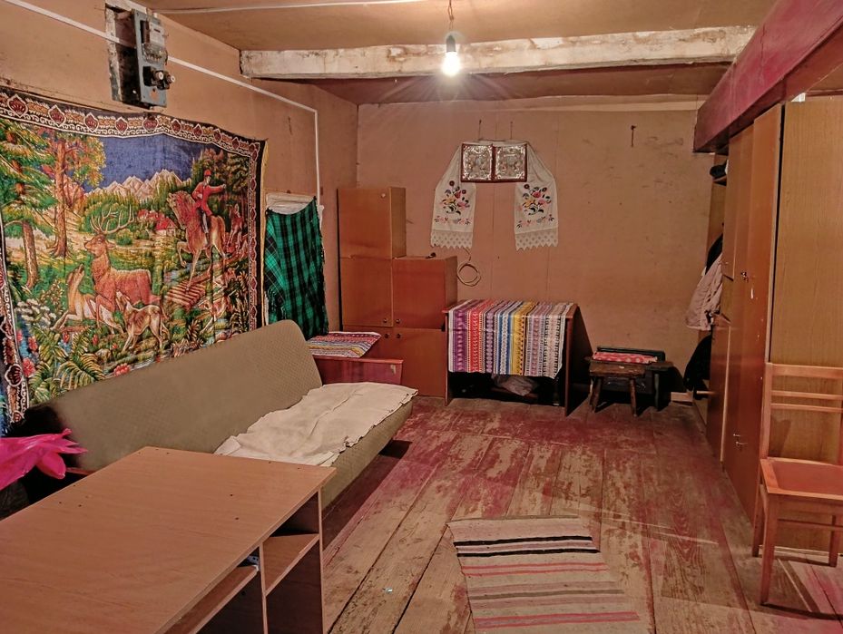 Будинок із присадибною ділянкою