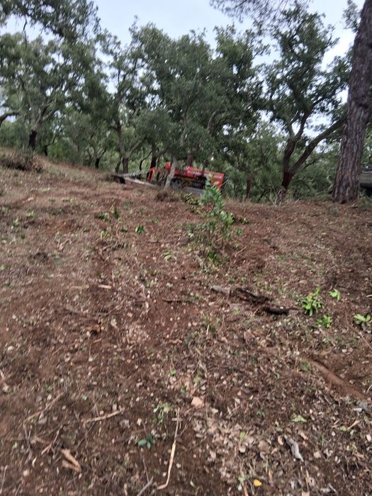 Limpezas de terrenos