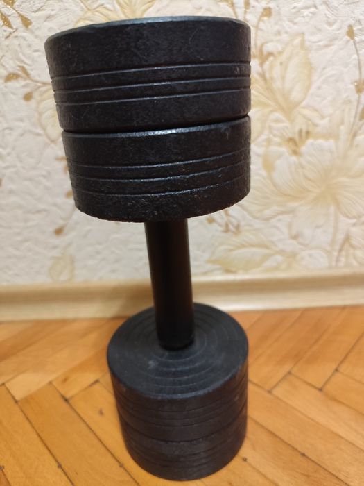 Гантелі розбірні 13 -12 та 3 кг