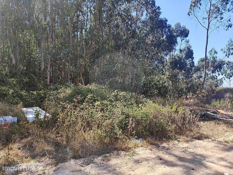 Terreno  para venda