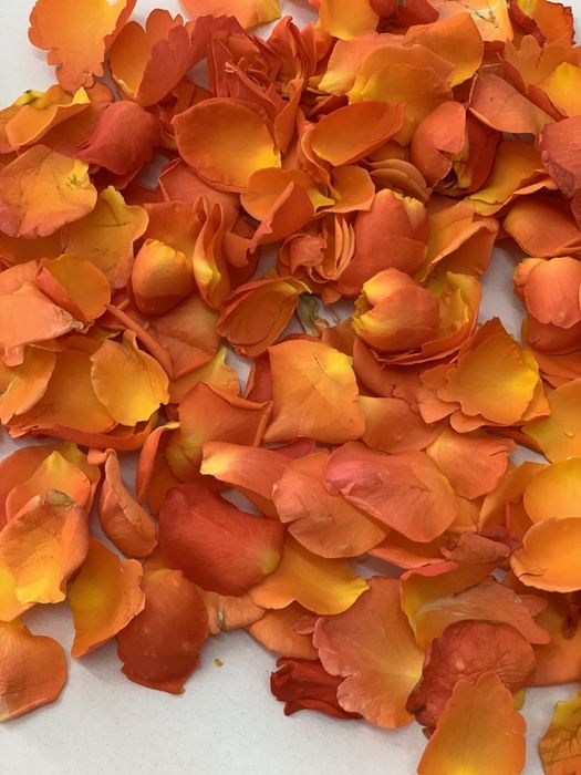 Пелюстки троянд (свіжої троянди)