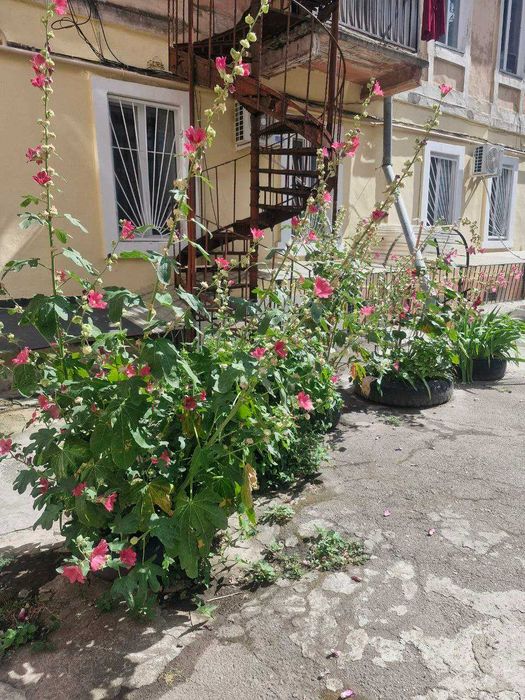 2-комнатная квартира по адресу Куликово поле пл. (площадь 88 м²) - Atlanta.ua - фото 9