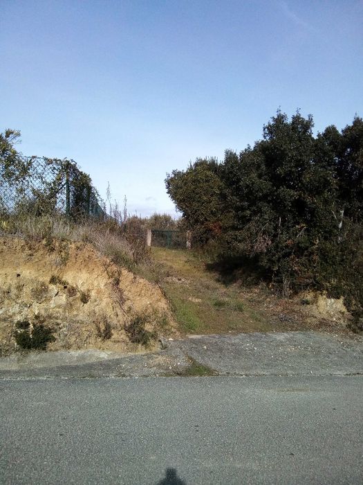 Terreno  rustico Tomar (2208 m2)