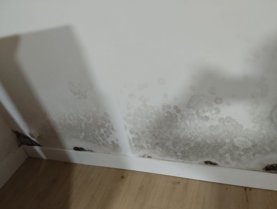 Pinturas e renovações