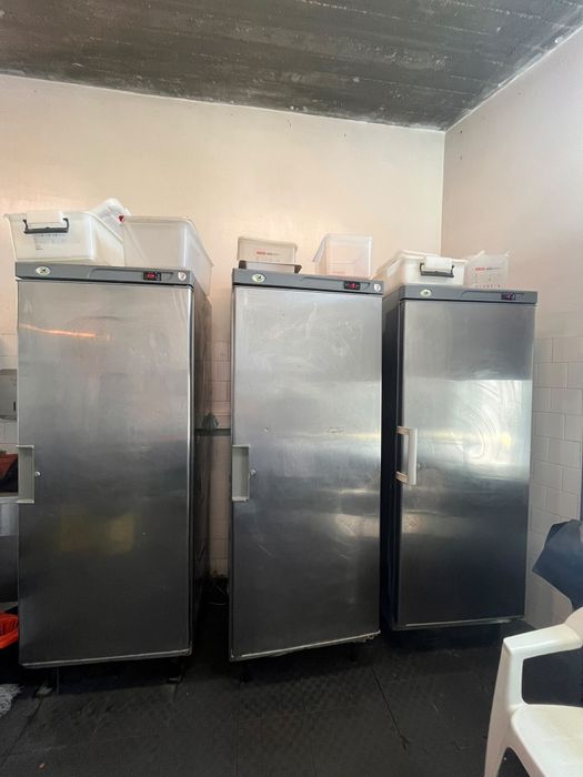 2 Frigoríficos e 1 Congelador industrial 550L