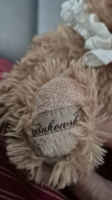 Bukowski mis pluszak