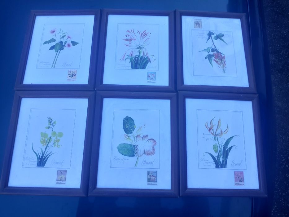 Quadro aguarela  mocambique unico