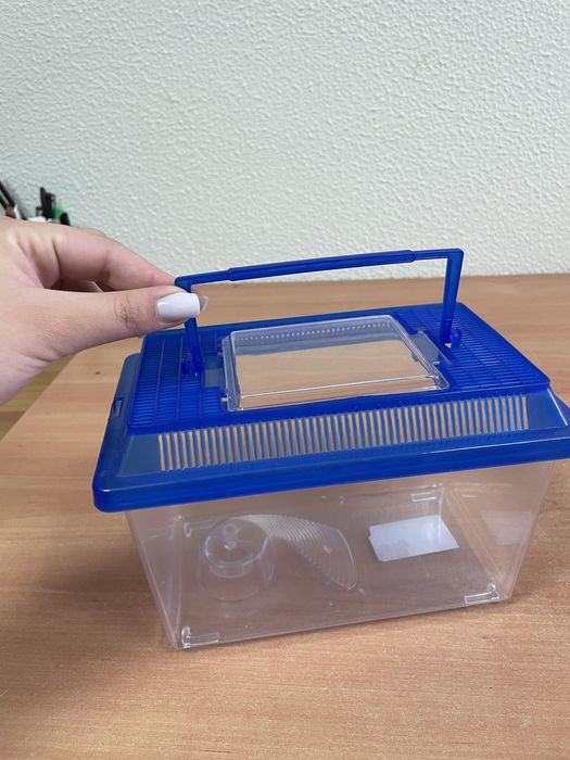 Aquário para tartaruga63825551157121120