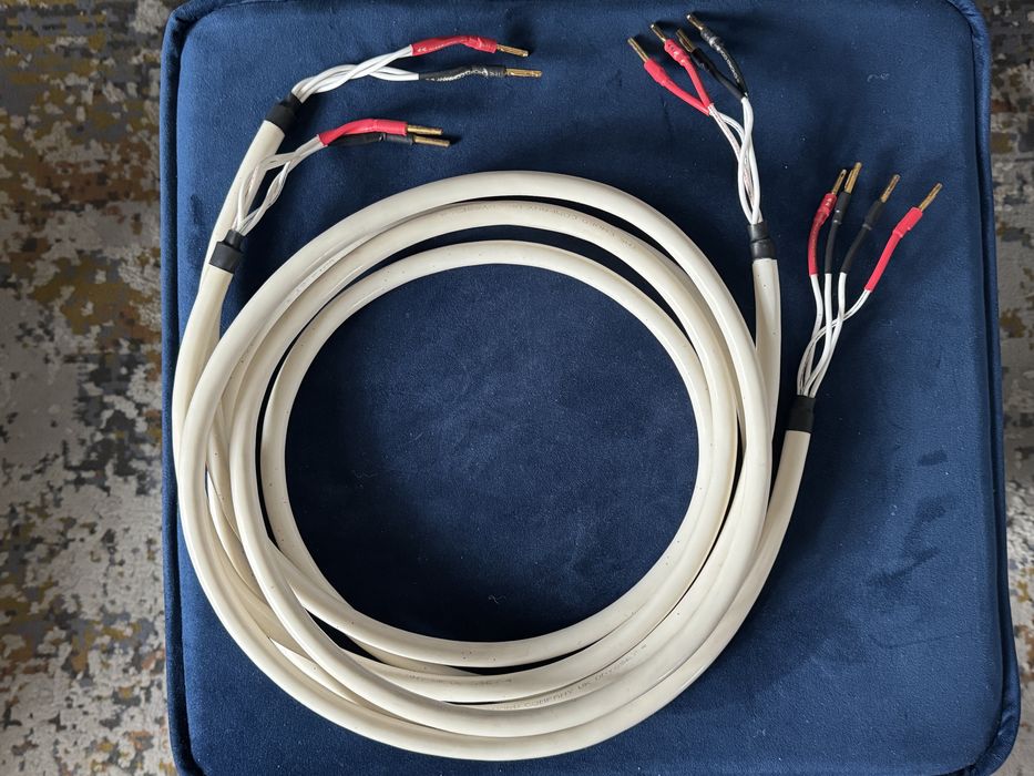 Chord odyssey 4 przewody głosnikowe 2.5 m