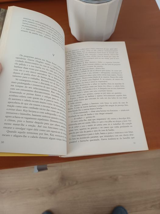 Livro Uma Morte súbita