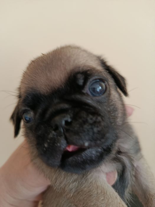 Шикарний хлопчик