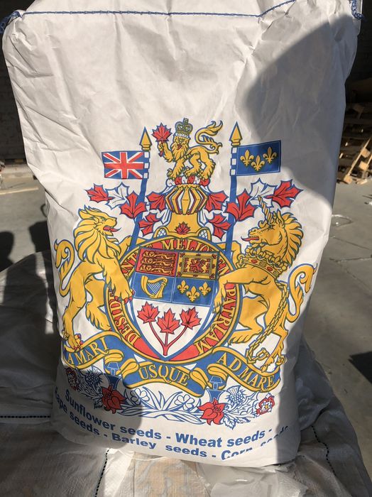 Насіння соняшника JAEGER F 369, канадський гібрид, олійний