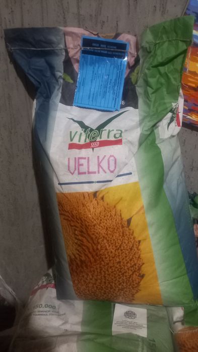 Продам семена подсолнуха