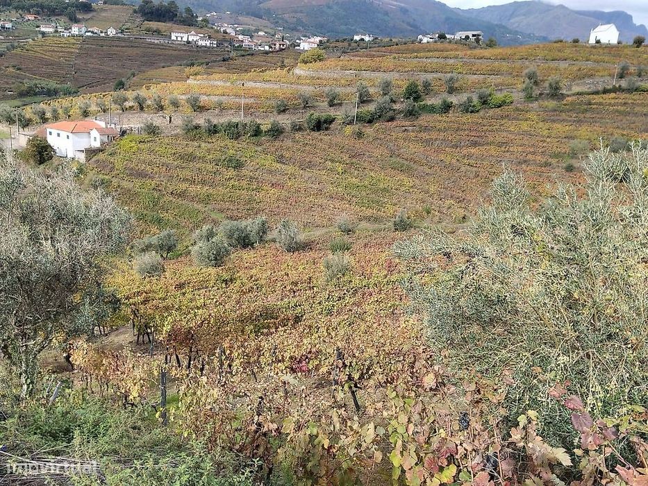 Terreno  para venda