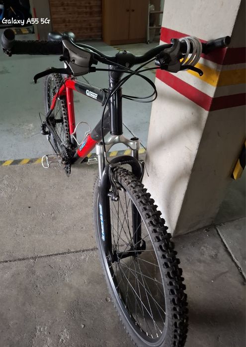 Bicicleta adultos