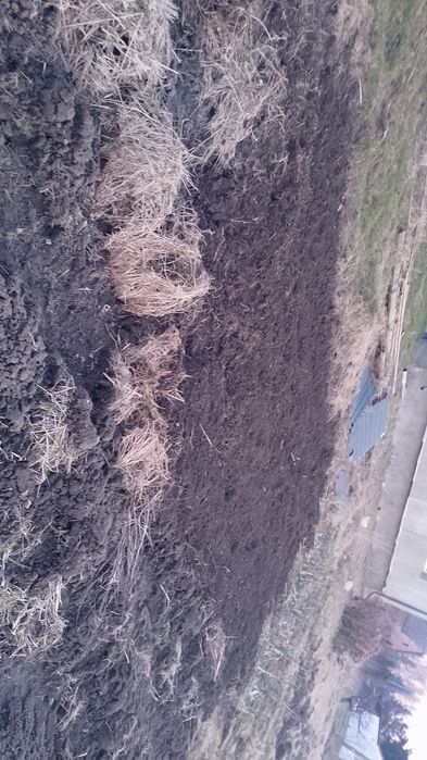 Usługi glebogryzarka