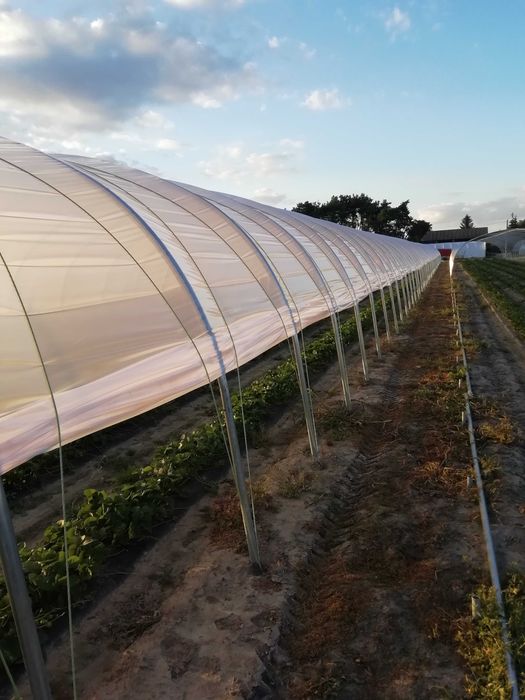 Nowe tunele foliowe 7.5x3x32m tunel foliowy na truskawki
