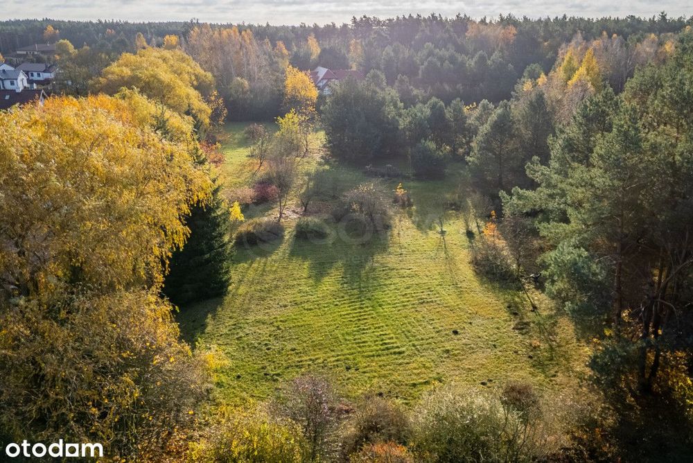 Działka budowlana tuż przy lesie WZ - Więcej