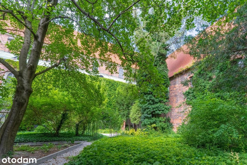 Mieszkanie przy Muzeum Architektury | Centrum