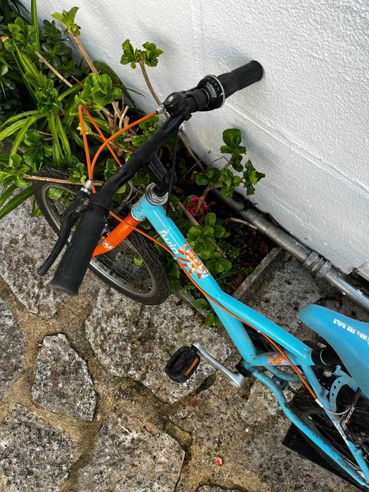 Bicicleta de criança