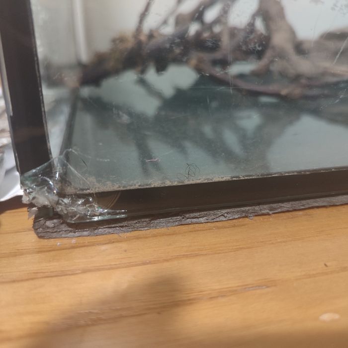 Vendo aquário com pedras e galhos para efeito