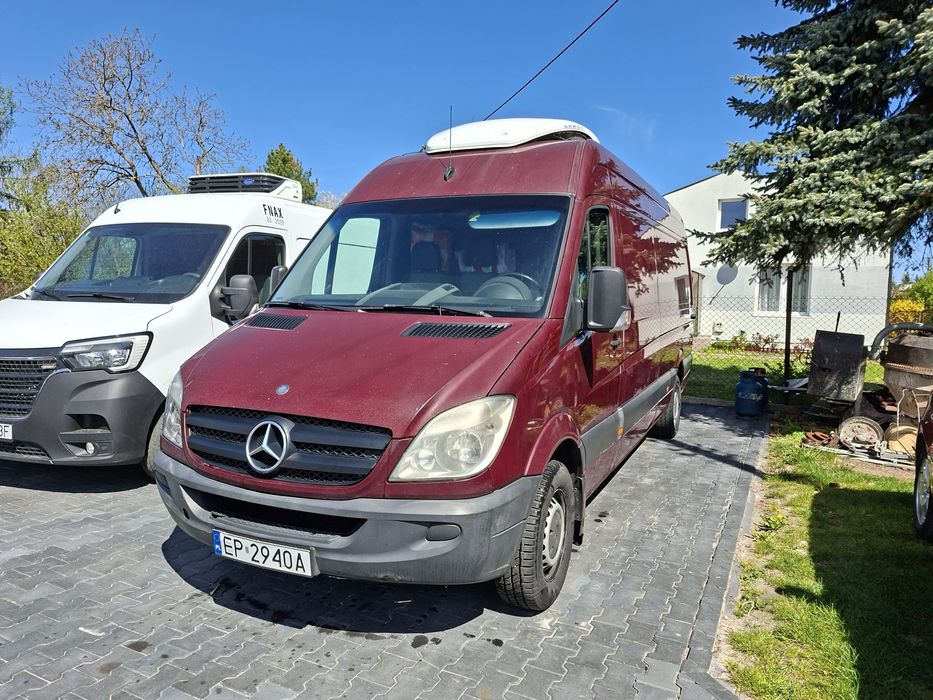 Chłodnia Sprinter 315
