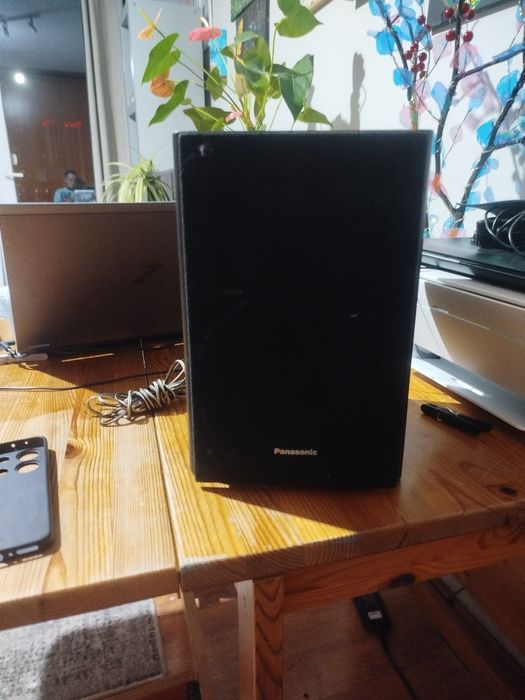 Głośnik Panasonic