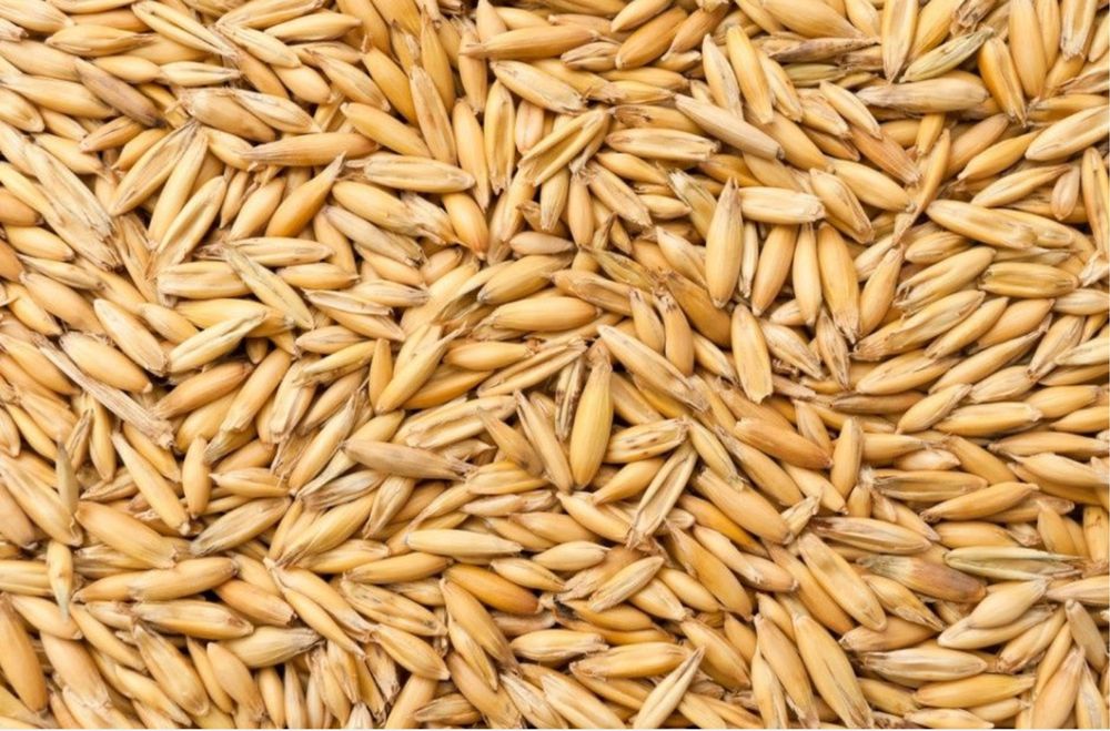 Pellet, OWIES świetny na opał, worek 40kg