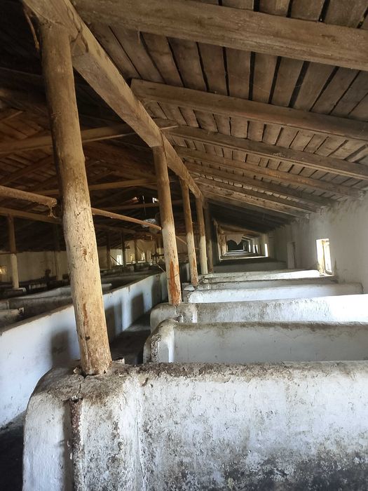 С/Х ферма(Свиноферма)