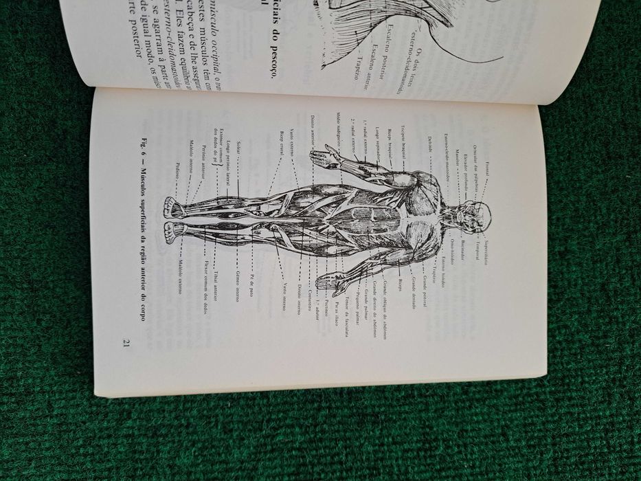 Manual Prático de Massagem - Doutor J. E. Ruffier