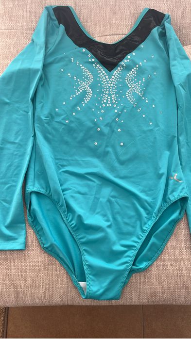 Fatos patinagem ou ginastica artistica