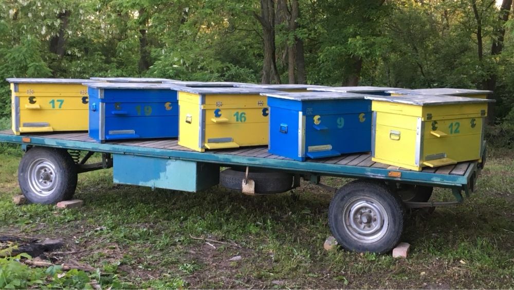 Платформа причеп для бджіл вуликів