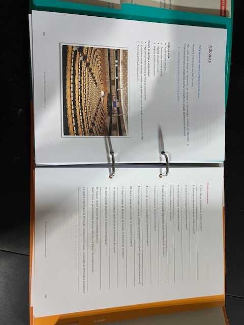 Conj. Pedag. - Economia - Profissional- "Pro em Economia (5/6/7/8)"