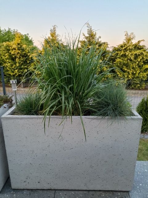 Donica betonowa z betonu architektonicznego