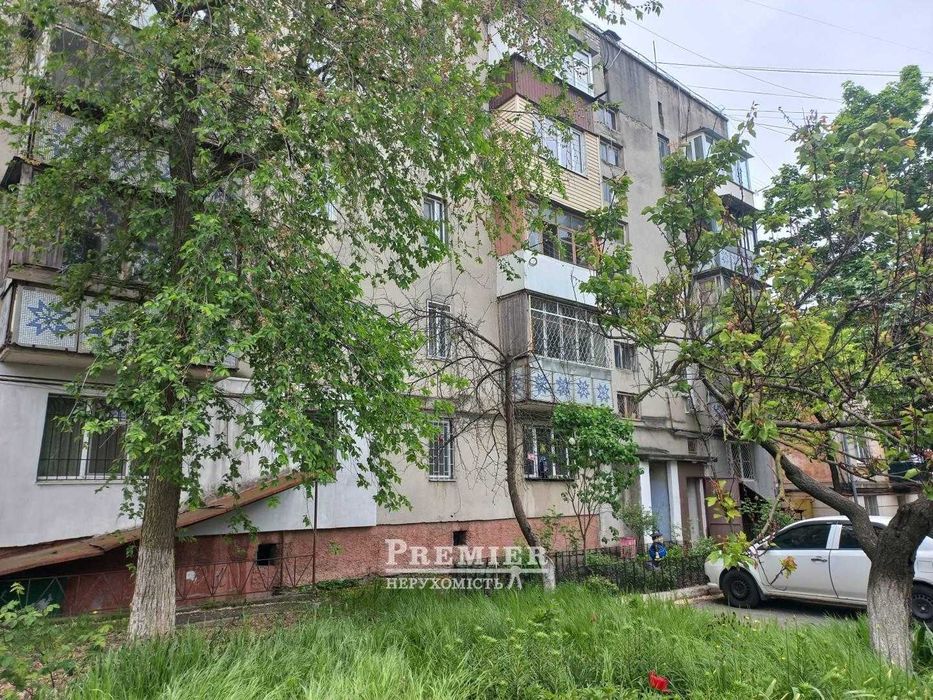 До центра — рукой подать: уютный спецпроект в отличном районе