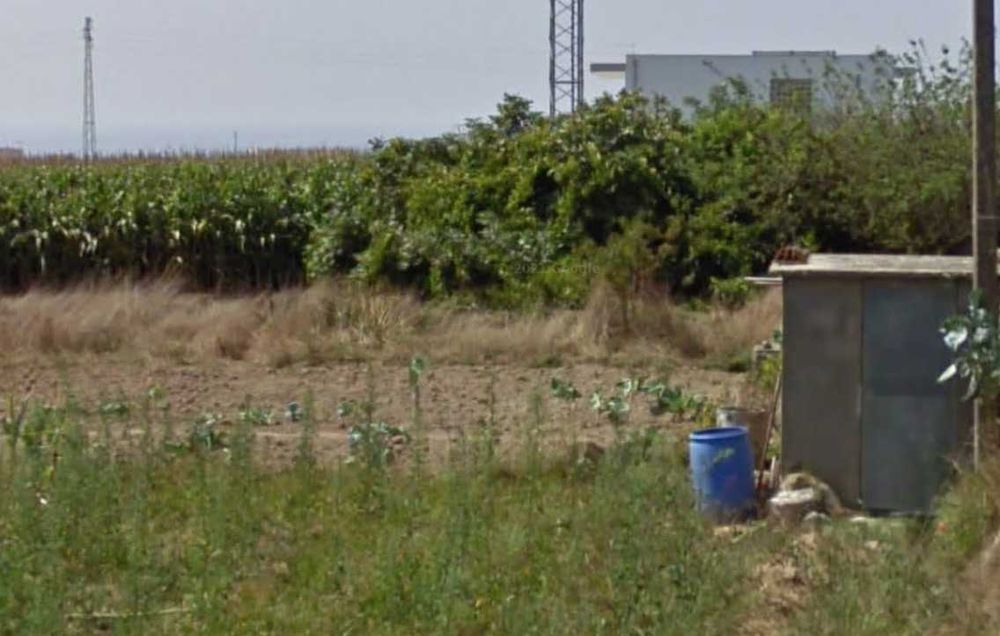 1200m2 em Lavra - Terreno agrícola para arrendamento