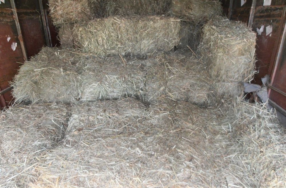 Сено разнотравие,в мешках и тюках 2025.Днепр. Возможна доставка