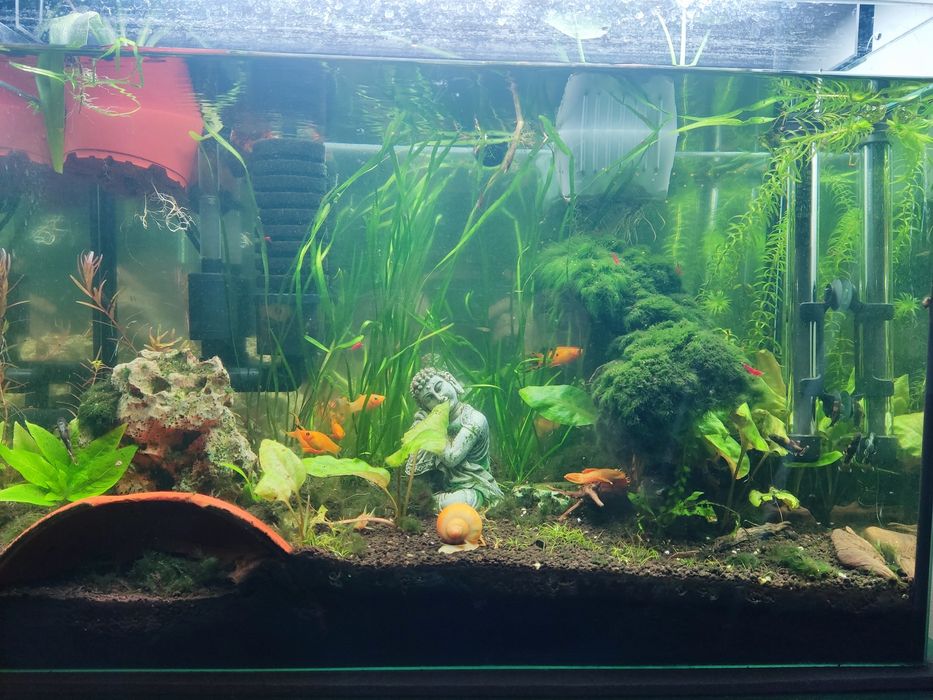 Akwarium 70l stabilne