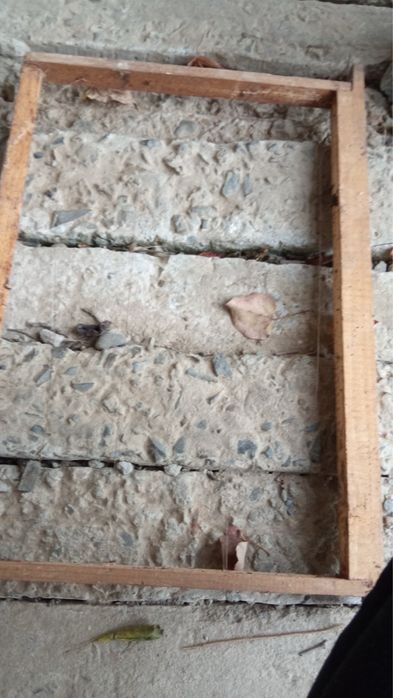 Рамка для бджіл