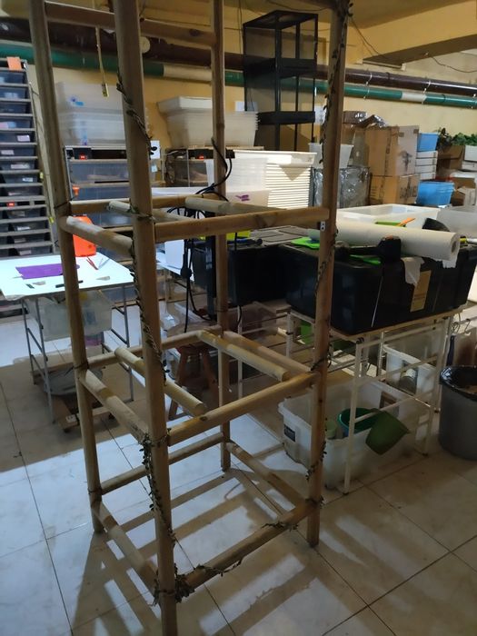 Estrutura de terrarios 60 cm,