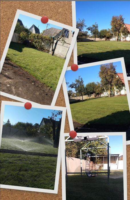 Обработка растений. Автоматический полив. Рулонный газон. Садовник.