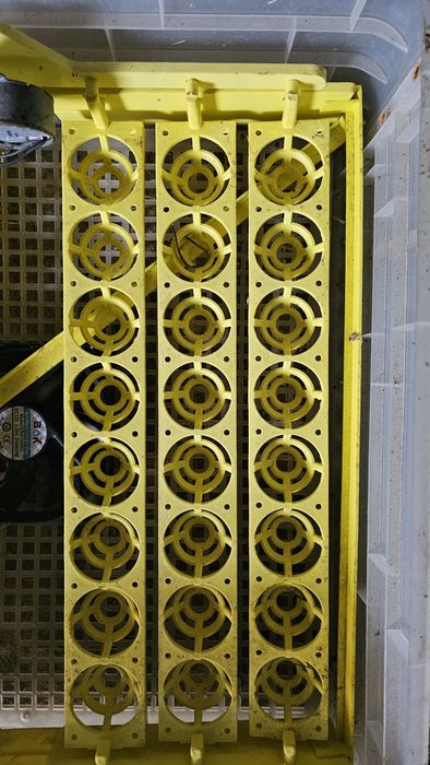 Inkubator na jaja nakładka dodatkowe piętro z wentylatorem