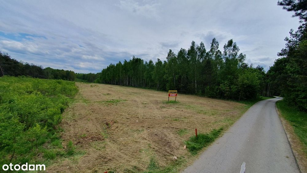Działka budowlana do sprzedania w Staszowie / Dobrej z WZ na dom